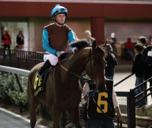 Sam Houston Race Park Live Horse Racing Schedule & Track News